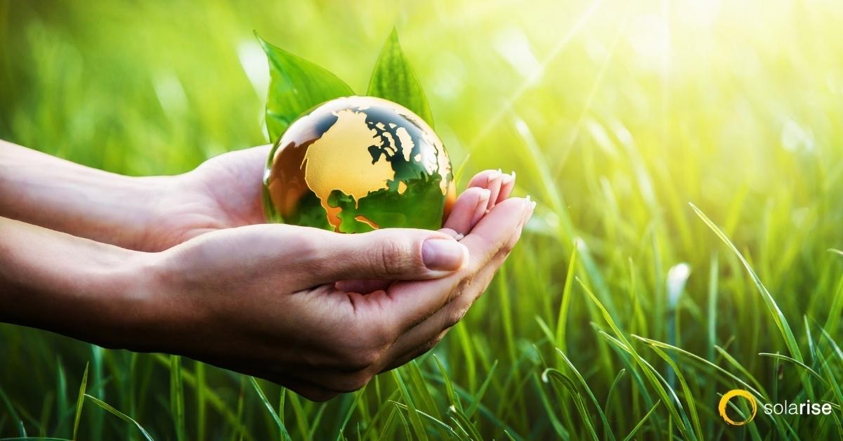 7 Ways to Honor Earth Day Every Day